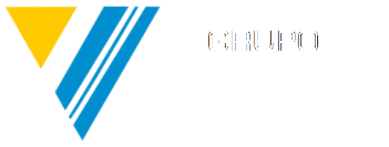 Grupo VLX